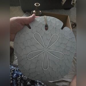 T.I. Design Decorative Sand Dollar Wall Hanging